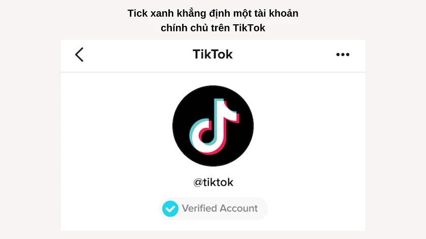 Tick xanh Facebook để làm gì? - Khám phá lợi ích và quy trình xin xác minh